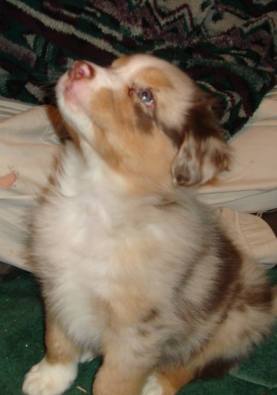 11006397_1052615474753932_8485452286336630760_n